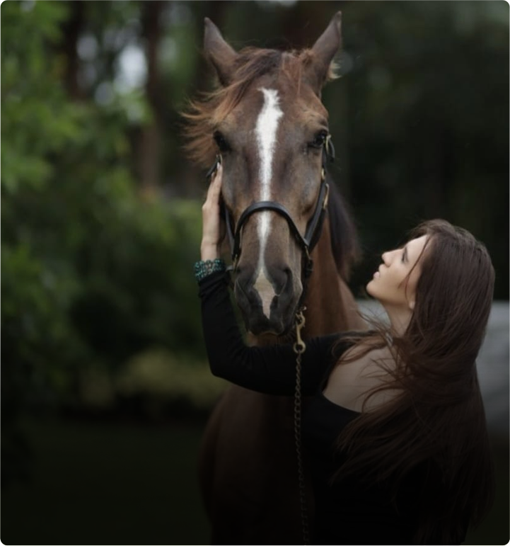 Horse rider with horse
